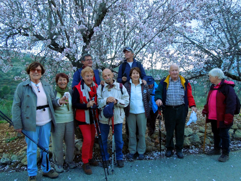 Wandergruppe vor Mandelbäumen