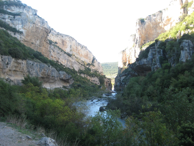 Bild 9 - Lumbier-Schlucht